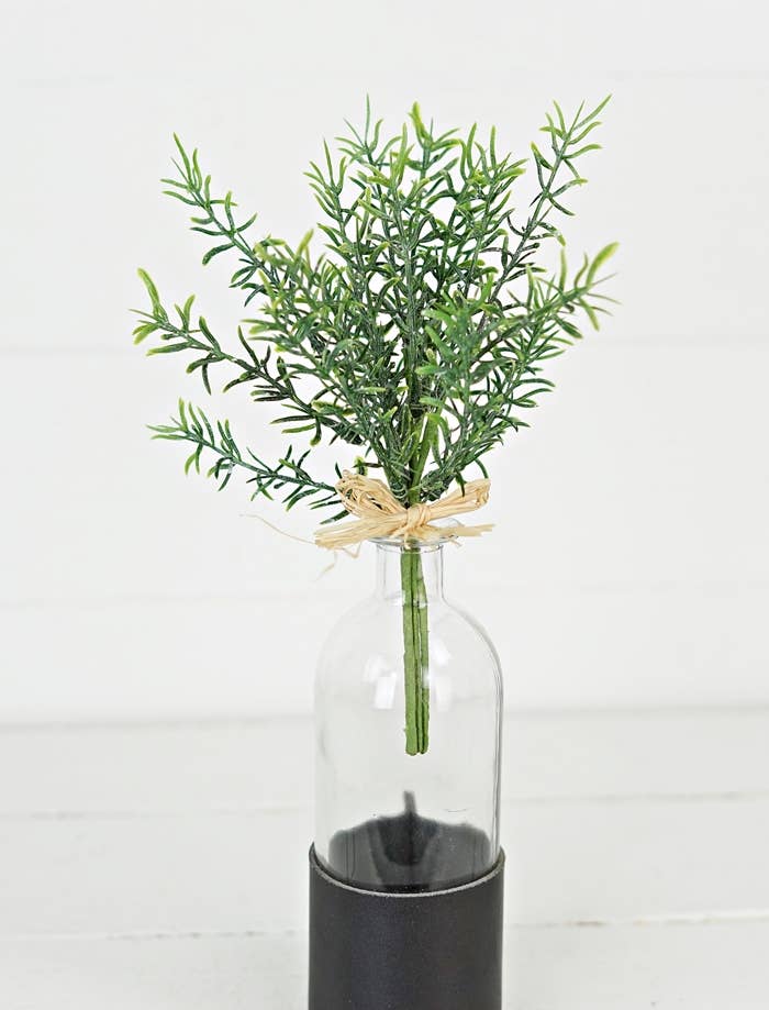 Thyme Herbs Bunch