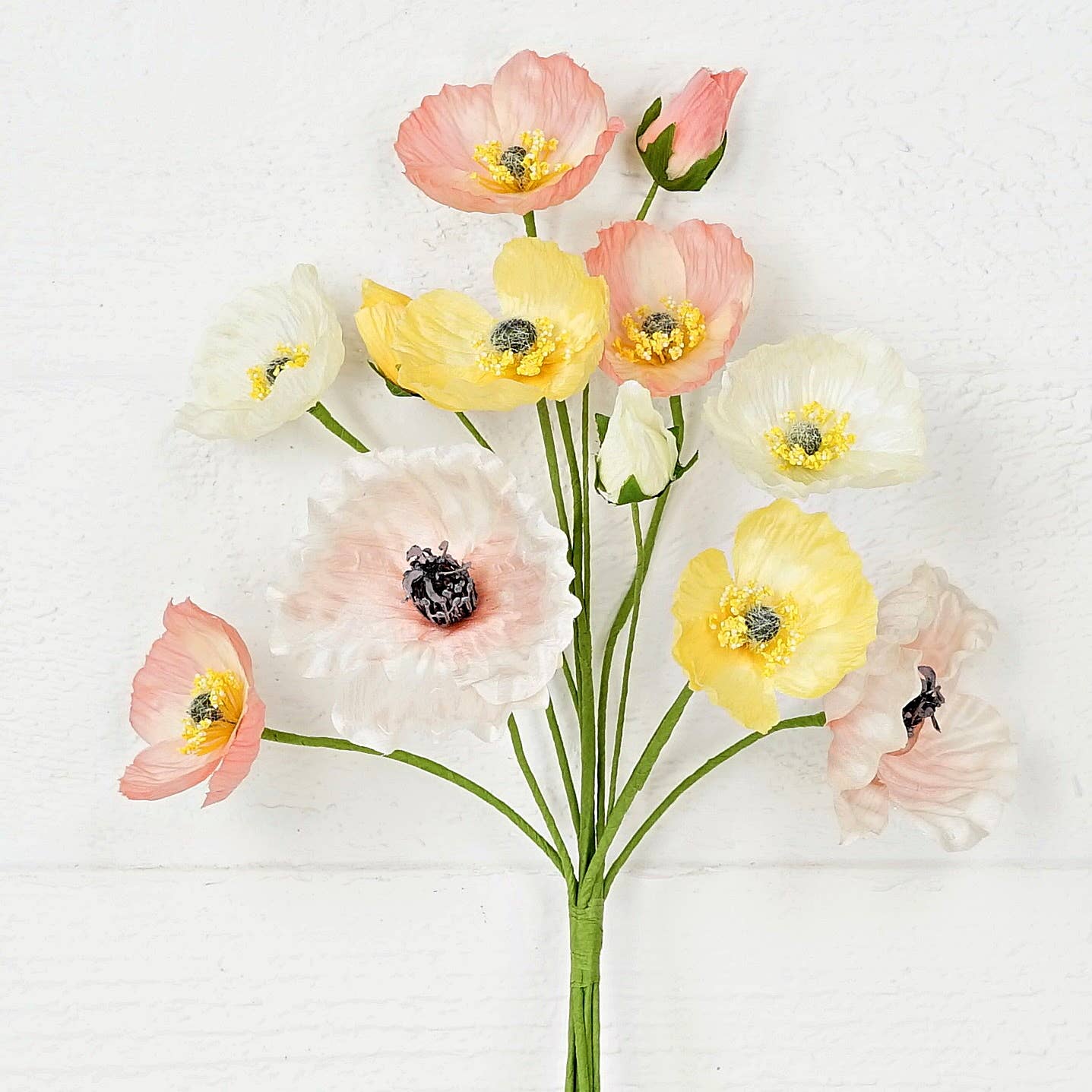 Poppy Bush-Cream pink yellow