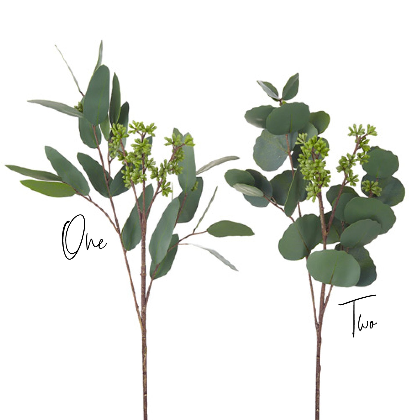 Seeded Eucalyptus Pick