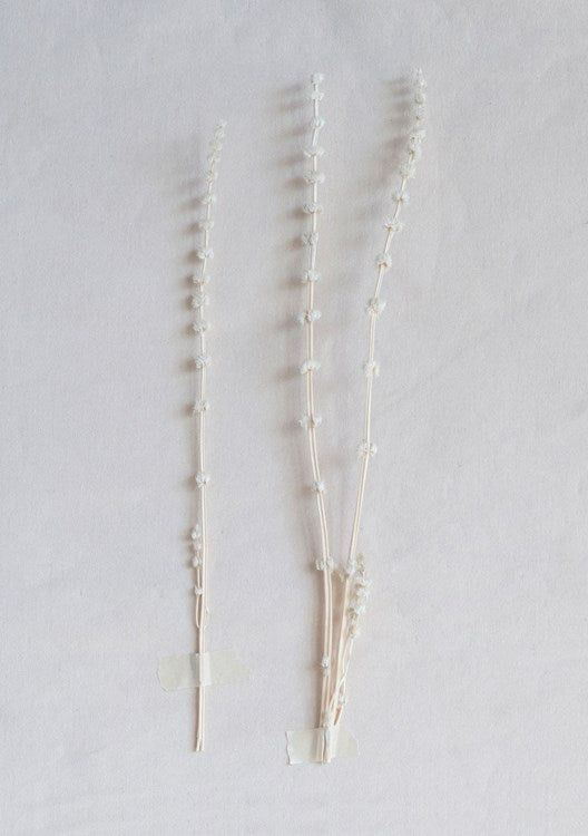 Dried Natural Lion's Tall Bunch White