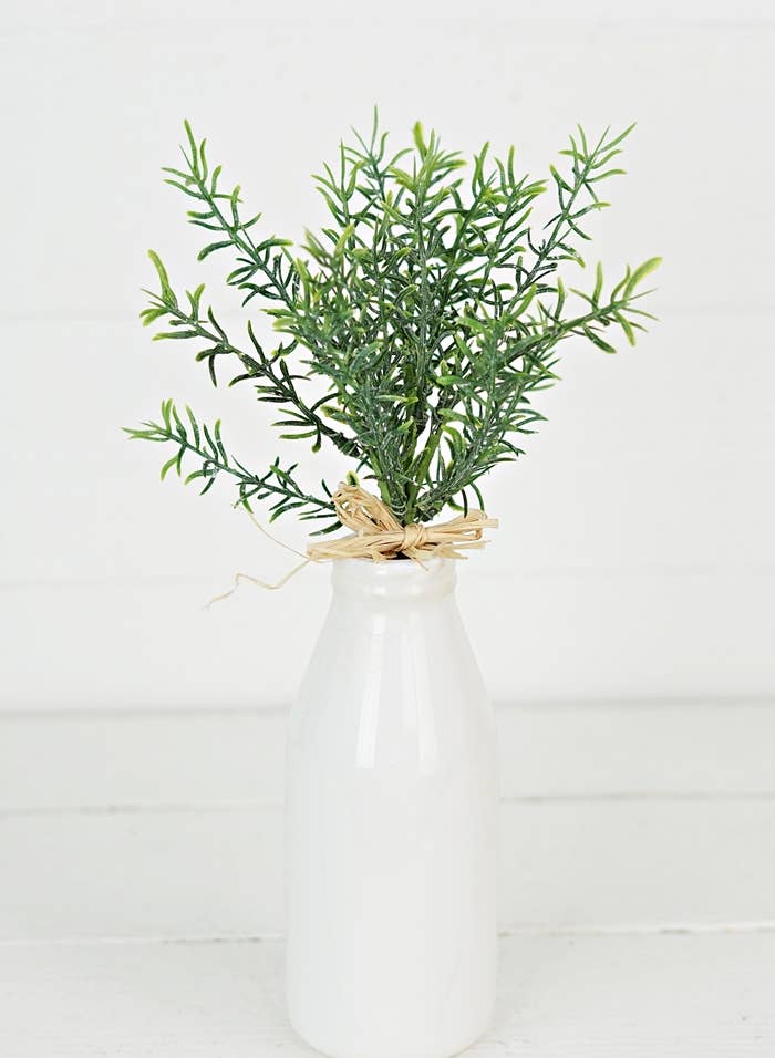 Thyme Herbs Bunch