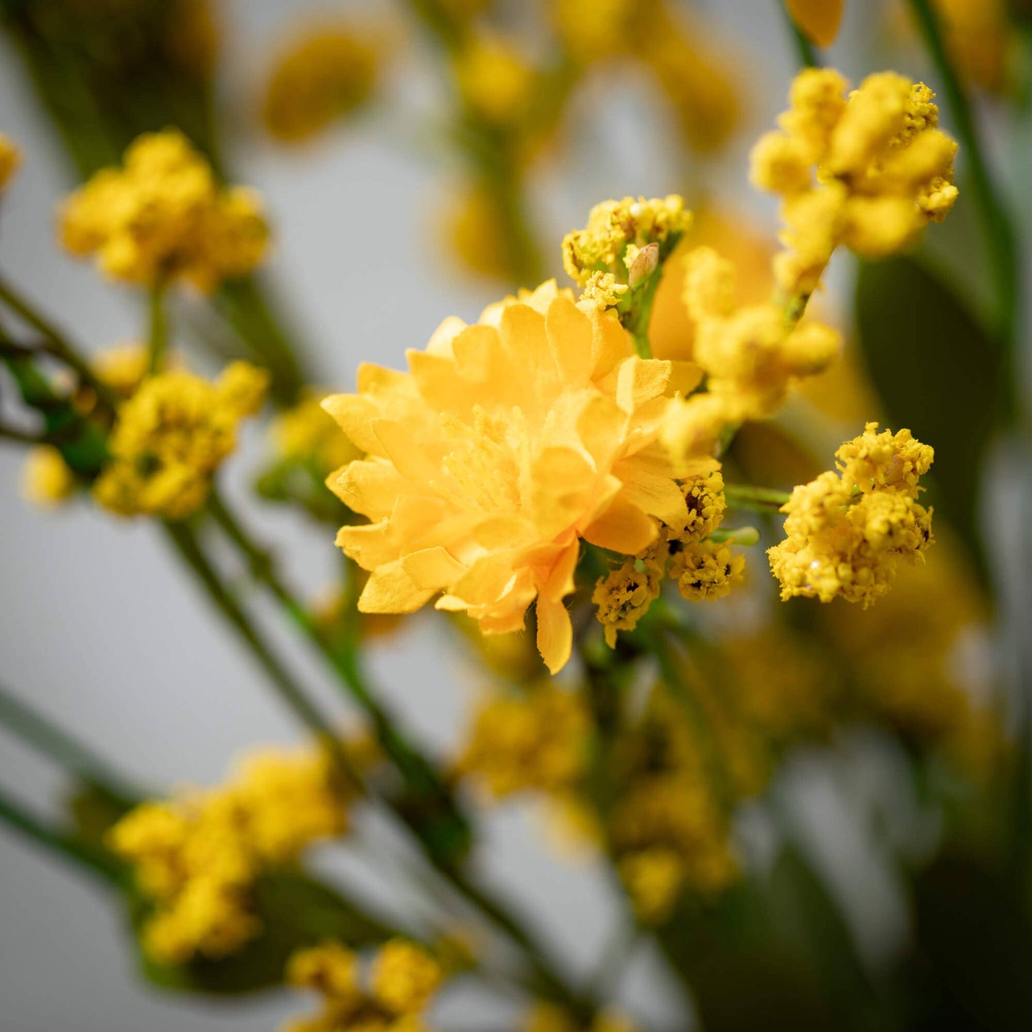 YELLOW WILDFLOWER PICK