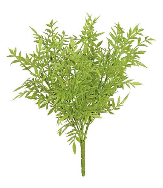 Ruscus Bush X6, 12", Soft Green