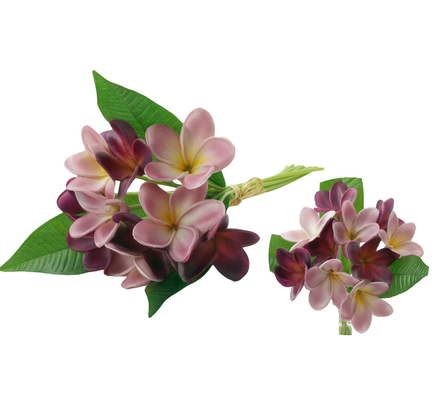 Pack of 10-Artificial Real touch Plumeria Frangipani bundle