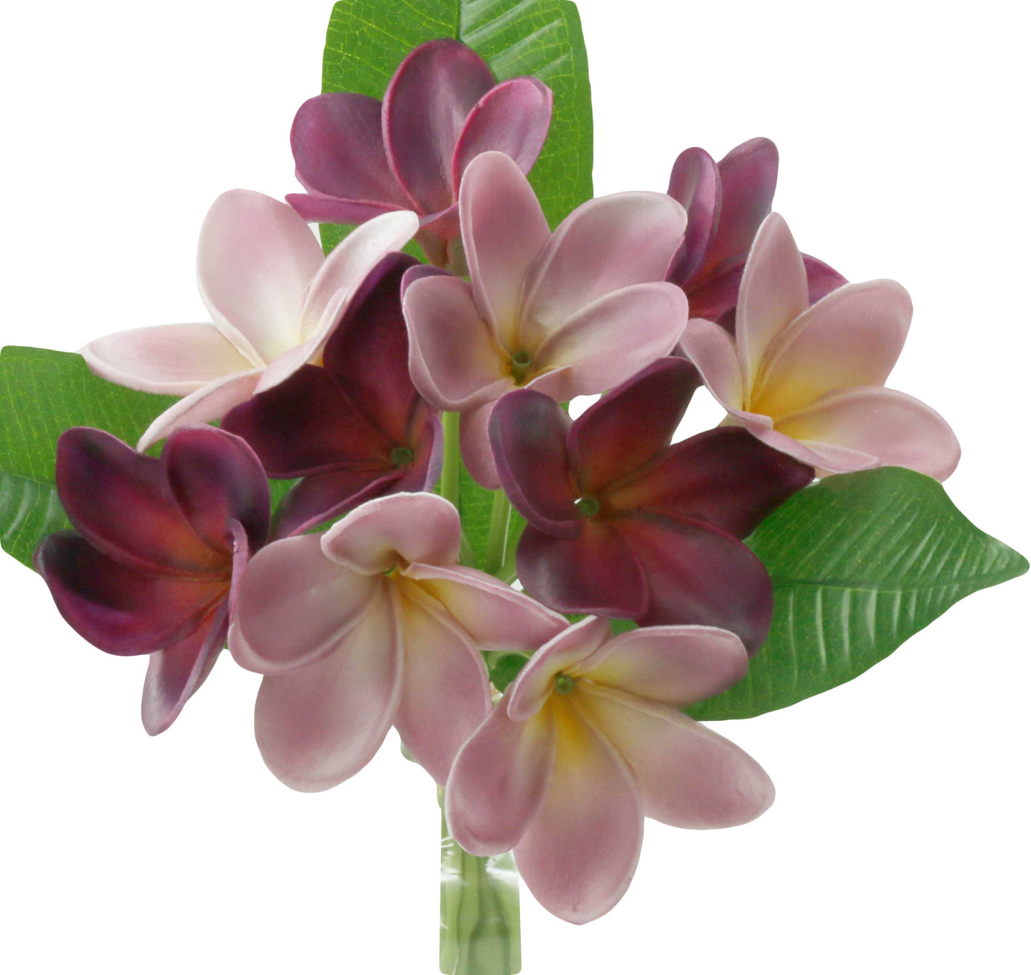 Pack of 10-Artificial Real touch Plumeria Frangipani bundle