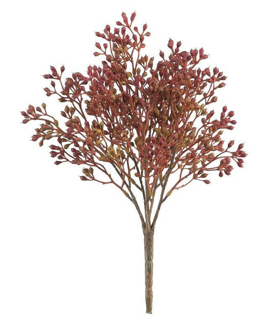 Seed Bush, 12", Rust