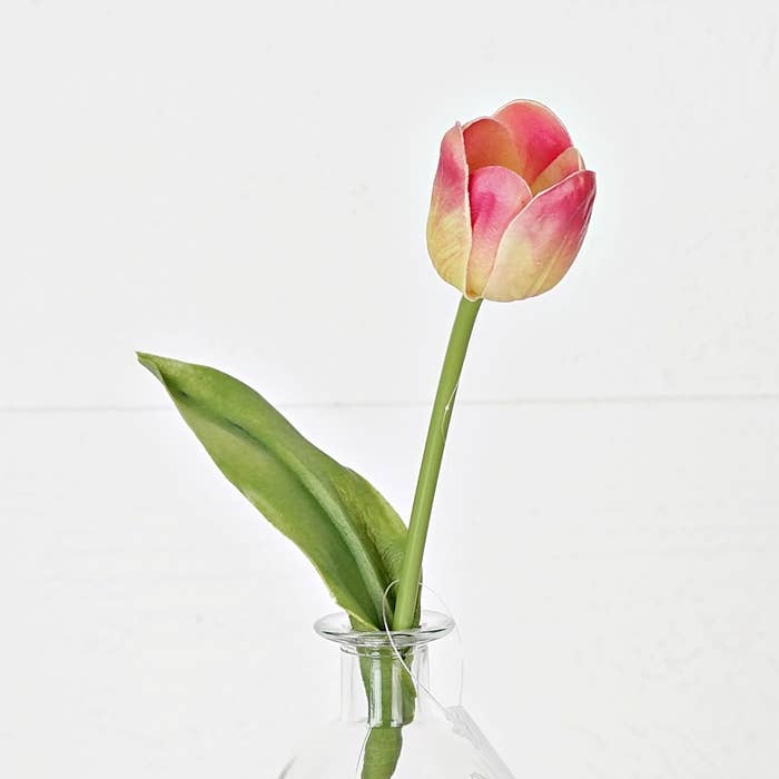 Pink/Green Tulip Stem - 15"