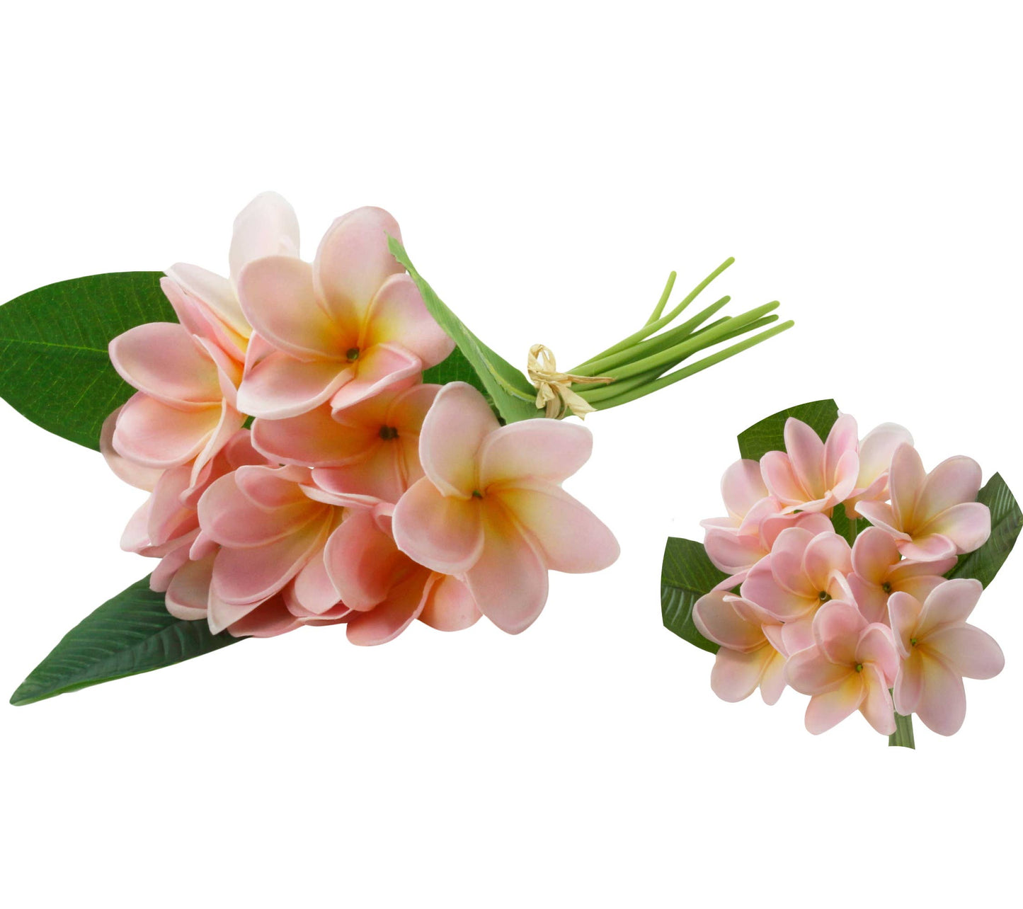 Pack of 10-Artificial Real touch Plumeria Frangipani bundle