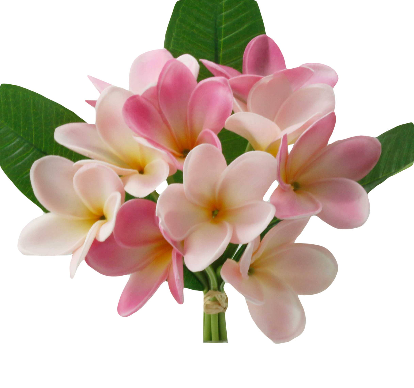 Pack of 10-Artificial Real touch Plumeria Frangipani bundle