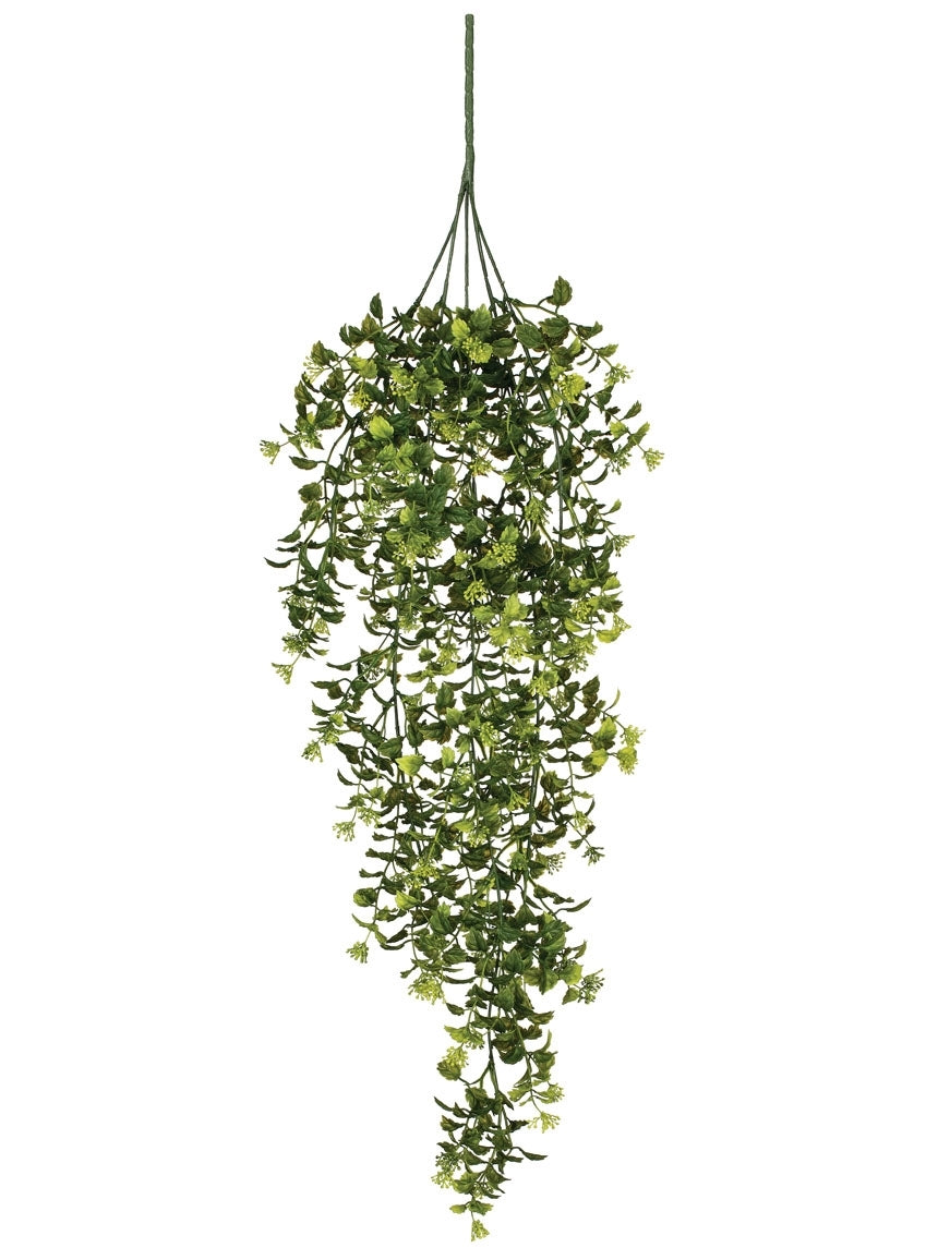 Boxwood Berry Hanging Bush