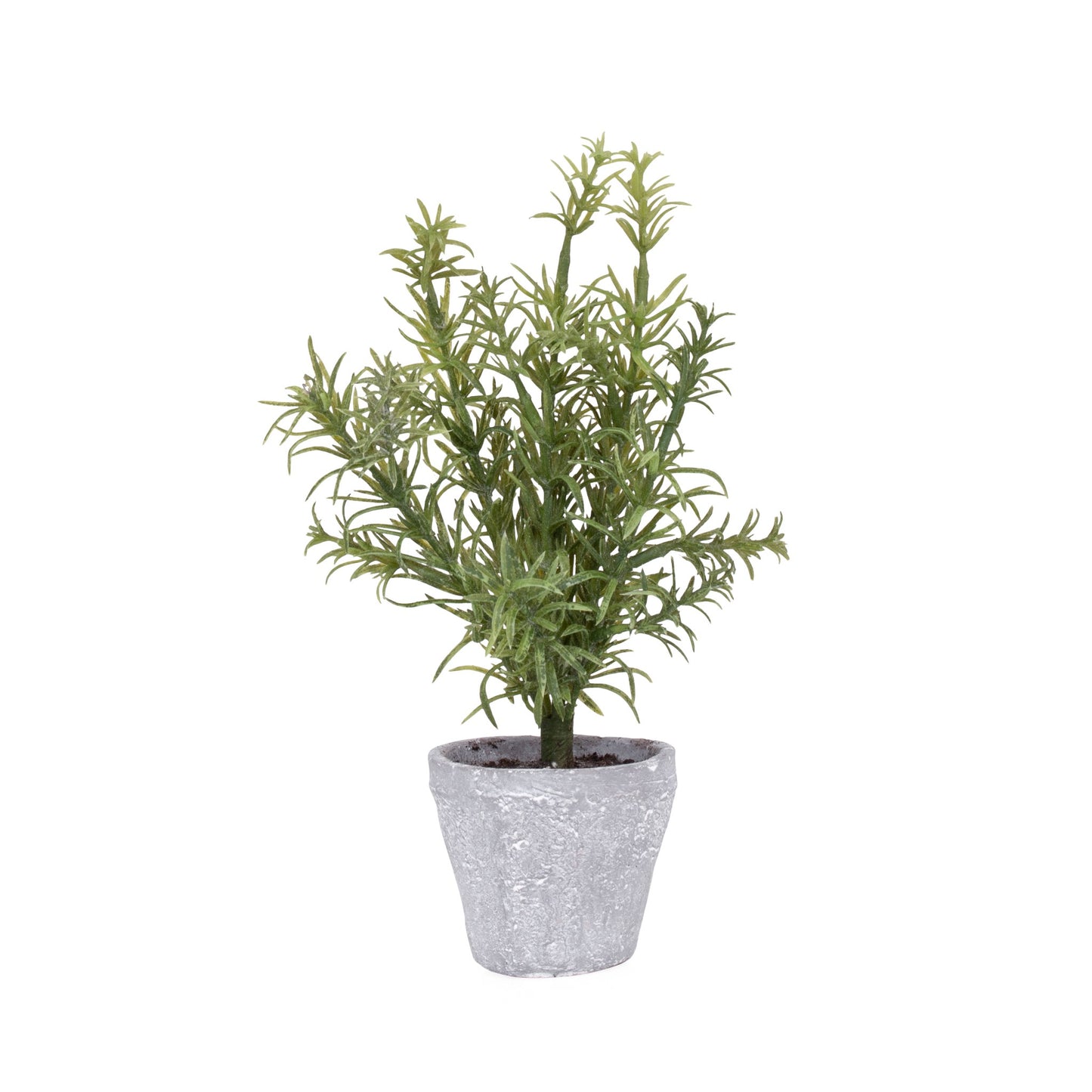 Provence Rustic Rosemary