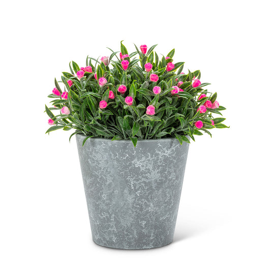 Flowering Cement Pots