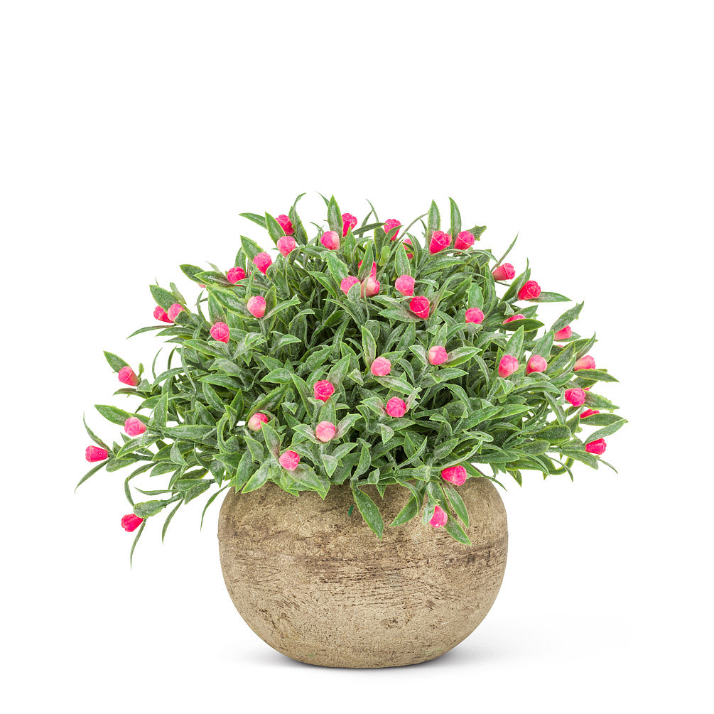 Small Flowering Plant Pots