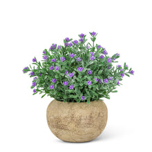 Load image into Gallery viewer, Small Flowering Plant Pots
