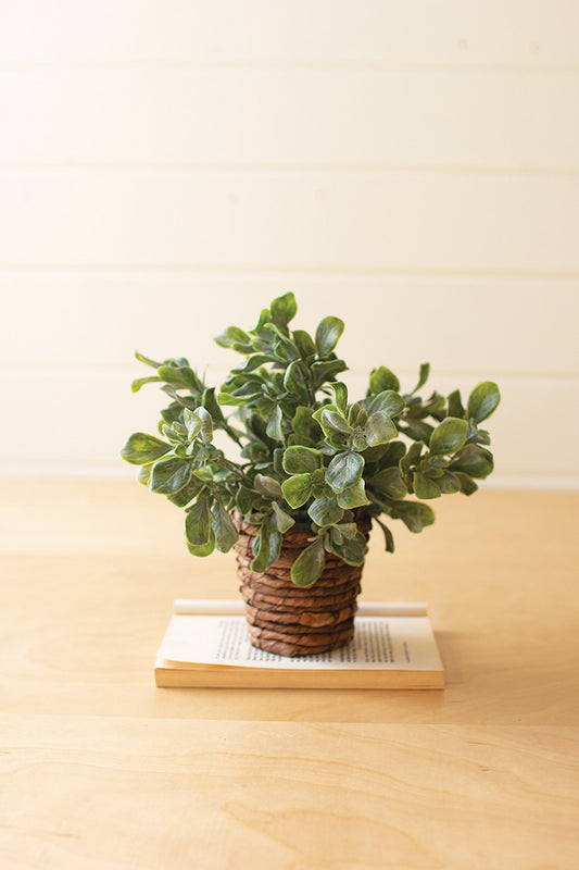 Artificial Plant in a Banana Leaf Pot