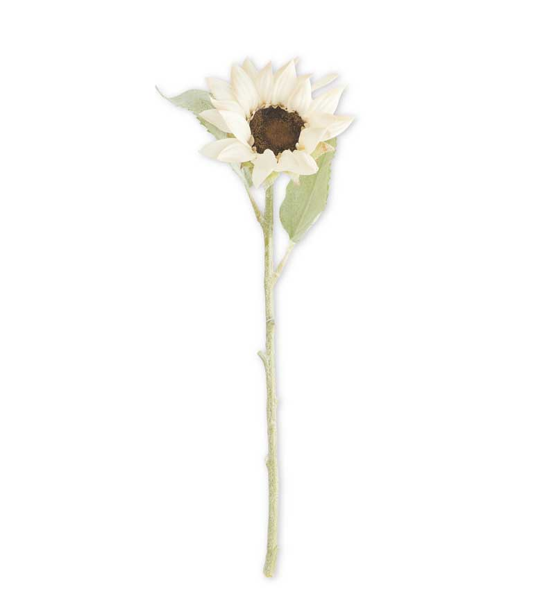 White Sunflower with Flocked Stem