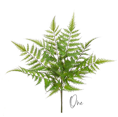 Fern Bush Spray