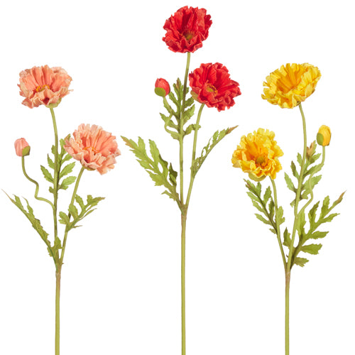 Poppy Stems - 24.5