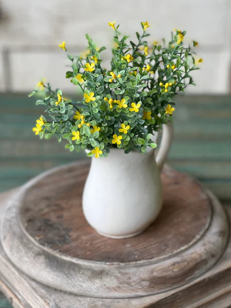 Jonabell Blooms Bush | 11" | Yellow