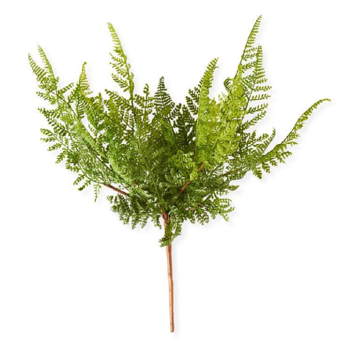 Curly Fern Spray Stem