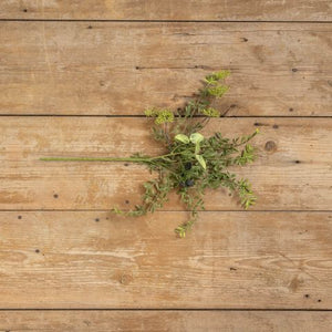 Pistachio & Eucalyptus Pick