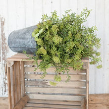 Load image into Gallery viewer, Pistachio &amp; Eucalyptus Pick
