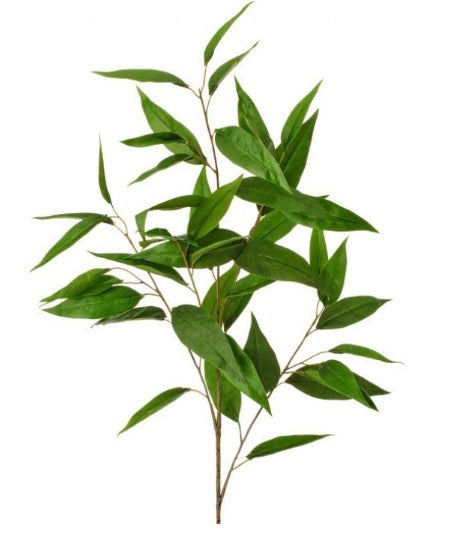 Seed Eucalyptus Spray 39”