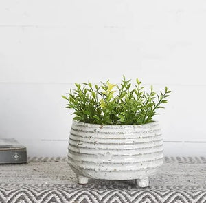 White Line Footed Plater