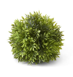 Podocarpus Ball