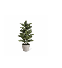Evergreen Tree in Gray Pot