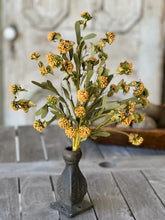 Load image into Gallery viewer, Mustard Ellijah Bush
