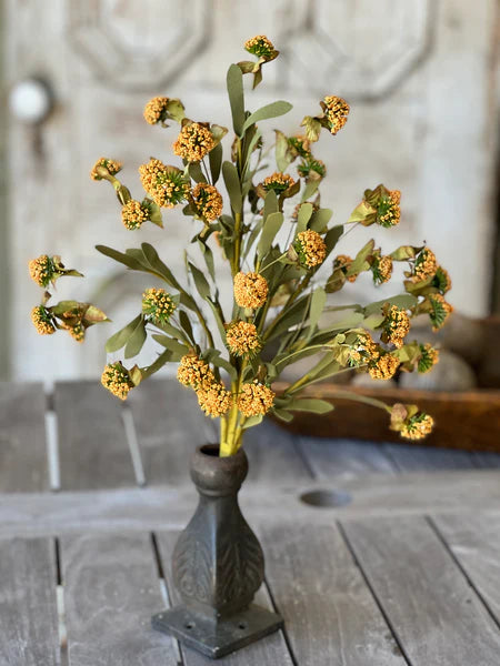 Mustard Ellijah Bush