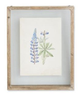 Botanical Prints in Shadow Box Wood Frames