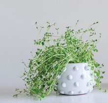 Load image into Gallery viewer, Raised Dot Terracotta Planter
