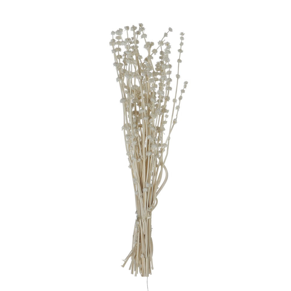 Dried Natural Lion's Tall Bunch White
