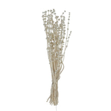 Load image into Gallery viewer, Dried Natural Lion&#39;s Tall Bunch White
