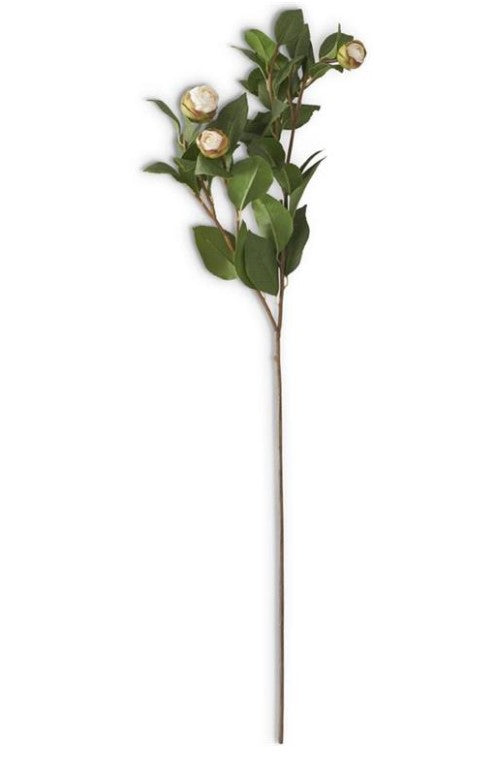 Five Bud Peony Stem