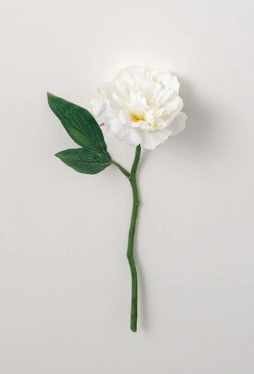 White Peony Stem