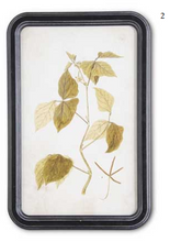 Load image into Gallery viewer, Leaf Foliage Prints with Black Wood Frames
