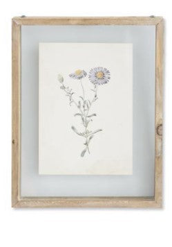Botanical Prints in Shadow Box Wood Frames