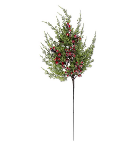 Cypress Pine with Dark Red Iced Berry Stem