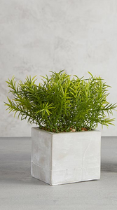 Faux Plant in Square Pot