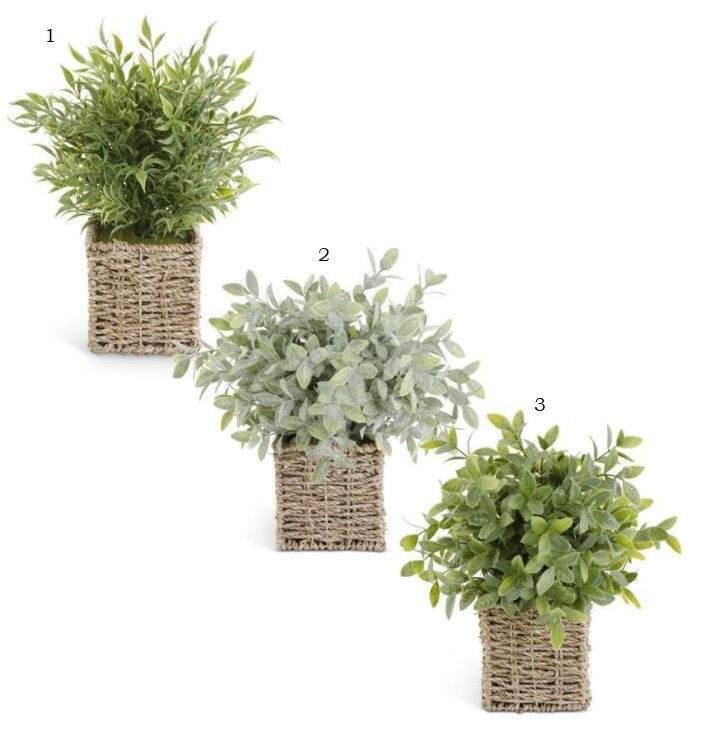 13 Inch Herbs in Woven Basket