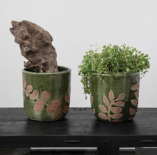 Load image into Gallery viewer, Terracotta Planter with Foliage
