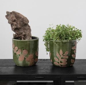 Terracotta Planter with Foliage