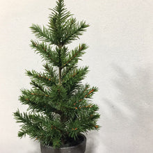 Load image into Gallery viewer, Tall Pines in Gray Pot
