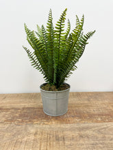 Load image into Gallery viewer, Assorted Ferns in Metal Pot
