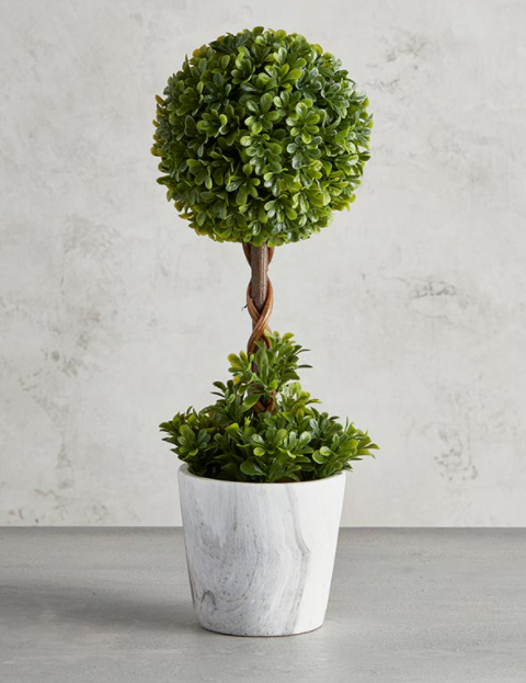 Topiary Ball in Planter