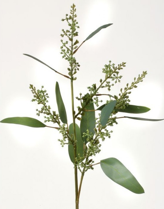 Long  Seed Finger Eucalyptus Spray 28”