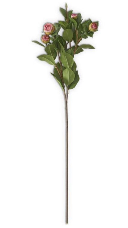 Five Bud Peony Stem